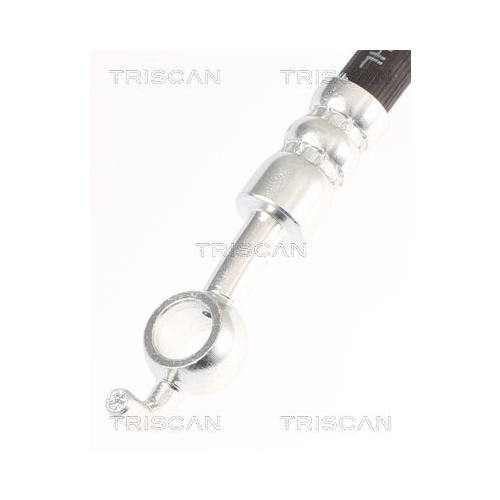 TRISCAN Bremsschlauch 8150 21209
