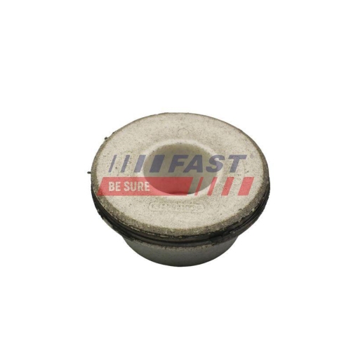 FAST Lagerung, Achsstrebe FT18067