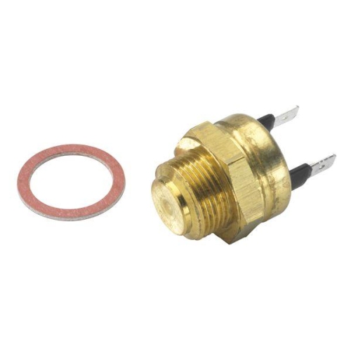 BorgWarner (Wahler) Temperaturschalter, Kühlerlüfter