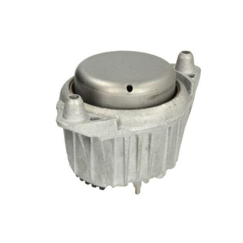 REINHOCH Lagerung, Motor RH11-3108