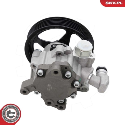 ESEN SKV Hydraulikpumpe, Lenkung 10SKV335