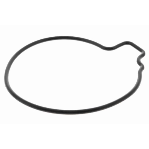 VAICO Wasserpumpe, Motork&uuml;hlung Original VAICO Qualit&auml;t V24-50021