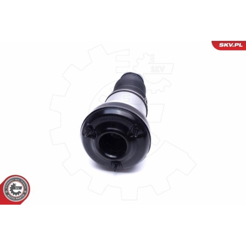 ESEN SKV Luftfederbein