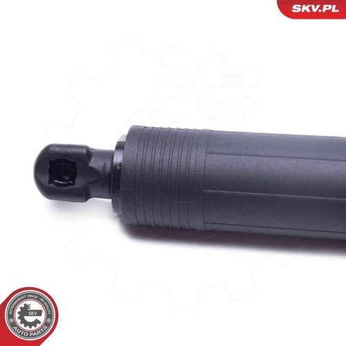 ESEN SKV Elektromotor, Heckklappe