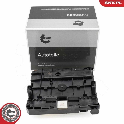 ESEN SKV Steuerger&auml;t, Motormanagement 96SKV323