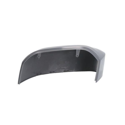 BLIC Gehäuse, Außenspiegel 6103-01-0104291P