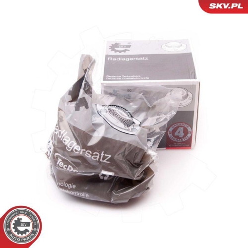 ESEN SKV Radlagersatz 29SKV180