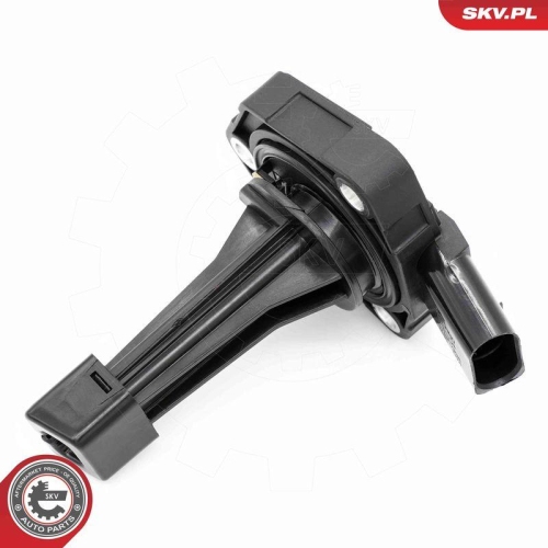 ESEN SKV Sensor, Motor&ouml;lstand