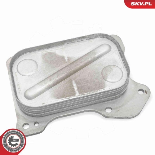 ESEN SKV &Ouml;lk&uuml;hler, Motor&ouml;l