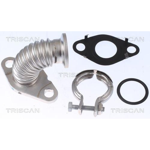 TRISCAN Rohrleitung, AGR-Ventil 8811 16000