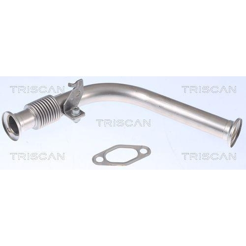 TRISCAN Rohrleitung, AGR-Ventil 8811 23000