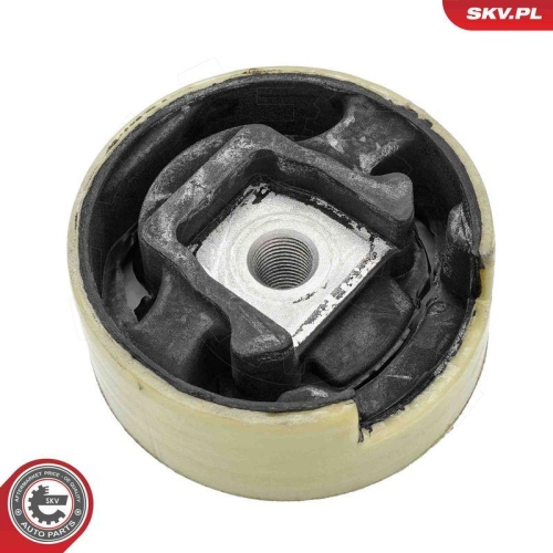 ESEN SKV Lagerung, Motor