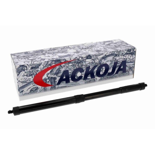 ACKOJA Gasfeder, Koffer-/Laderaum Original ACKOJA Qualit&auml;t