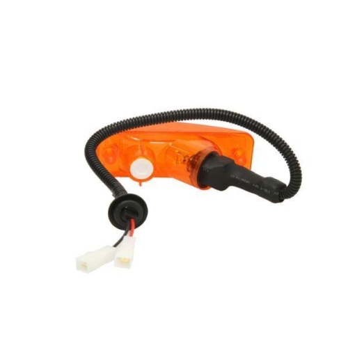 TRUCKLIGHT Blinkleuchte CL-DA003