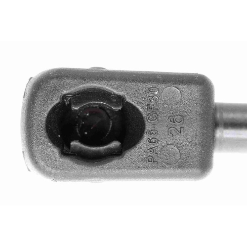 VAICO Gasfeder, Koffer-/Laderaum Green Mobility Parts V10-2160