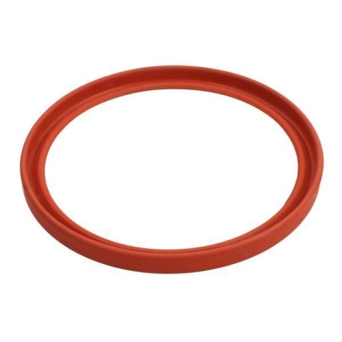 THERMOTEC Dichtring, Ladeluftschlauch DCR281TT