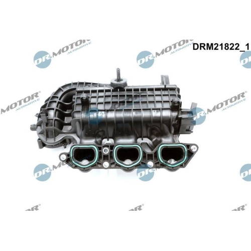 Dr.Motor Automotive Saugrohrmodul DRM21822