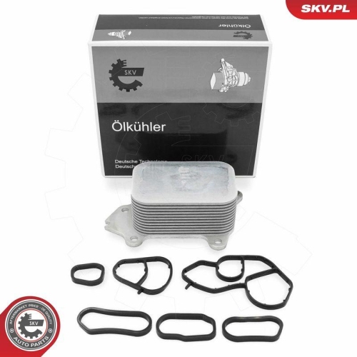 ESEN SKV &Ouml;lk&uuml;hler, Motor&ouml;l 31SKV381