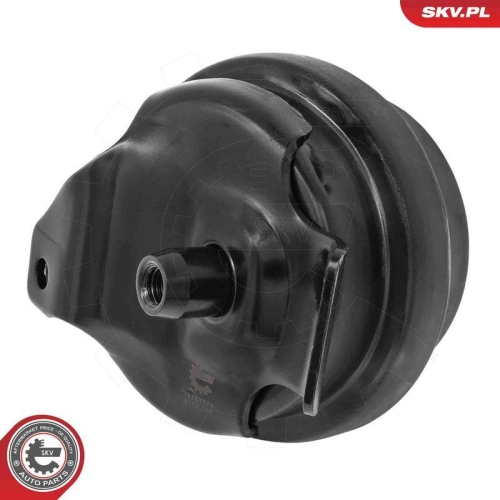 ESEN SKV Lagerung, Motor