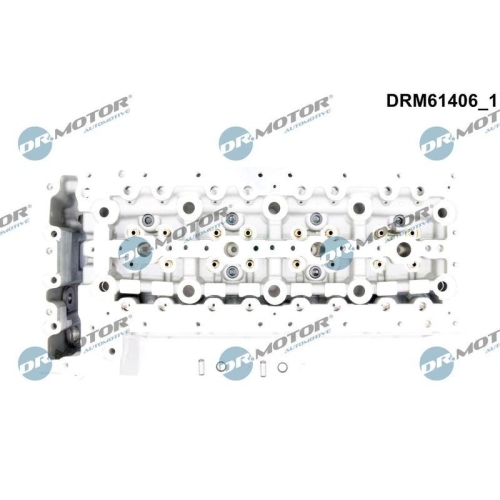 Dr.Motor Automotive Zylinderkopf DRM61406
