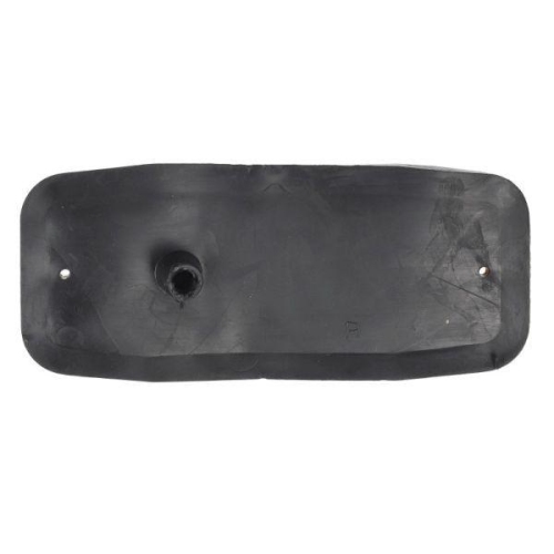 TRUCKLIGHT Blinkleuchte CL-MA013R