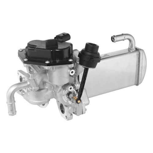 BorgWarner AGR-Modul 710946D