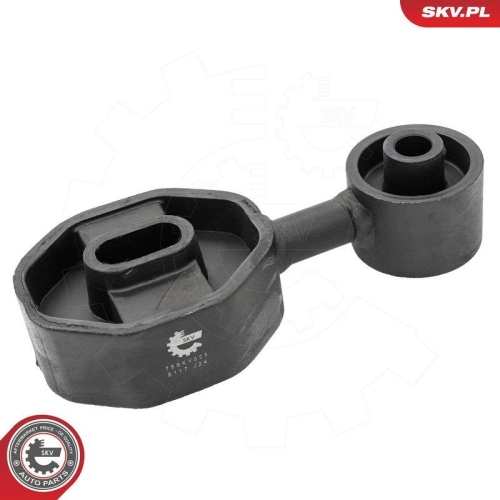 ESEN SKV Lagerung, Motor 75SKV008