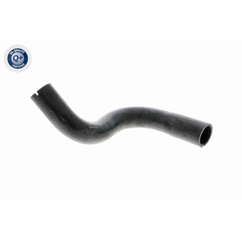 VAICO K&uuml;hlerschlauch Q+, Erstausr&uuml;sterqualit&auml;t V24-0872