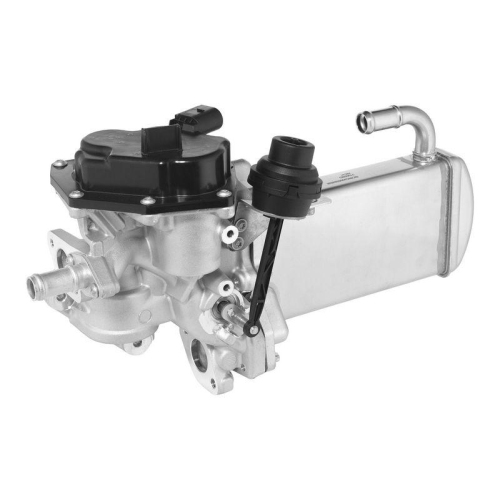 BorgWarner AGR-Modul 712003D