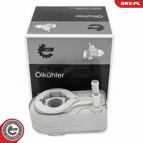 ESEN SKV &Ouml;lk&uuml;hler, Motor&ouml;l 31SKV352