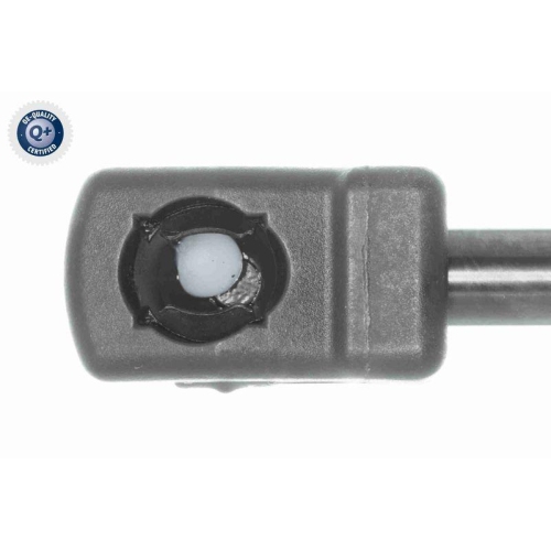 VAICO Gasfeder, Koffer-/Laderaum Q+, Erstausr&uuml;sterqualit&auml;t V40-2415