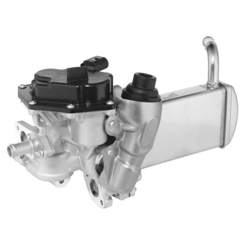 BorgWarner AGR-Modul 712085D