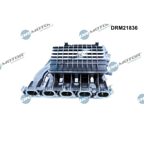 Dr.Motor Automotive Saugrohrmodul DRM21836