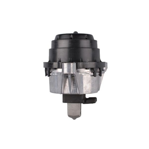 TEDGUM Lagerung, Motor TED63799