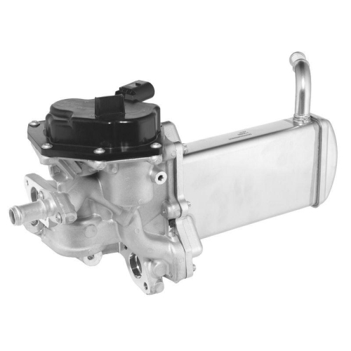 BorgWarner AGR-Modul 712086D