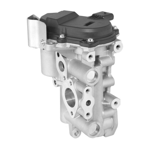 BorgWarner AGR-Ventil 729003D