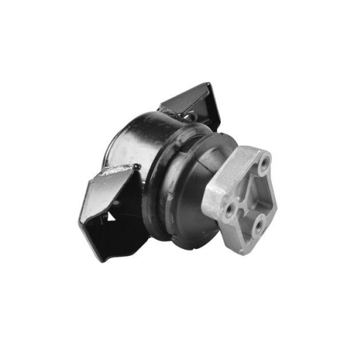 TEDGUM Lagerung, Motor