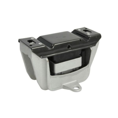 REINHOCH Lagerung, Motor RH11-0114