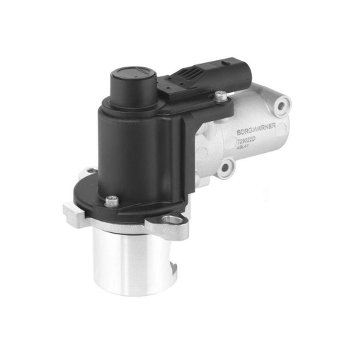 BorgWarner AGR-Ventil 729022D