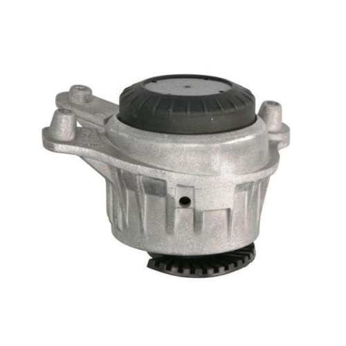 REINHOCH Lagerung, Motor RH11-3096