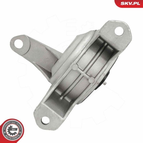 ESEN SKV Lagerung, Motor 75SKV024