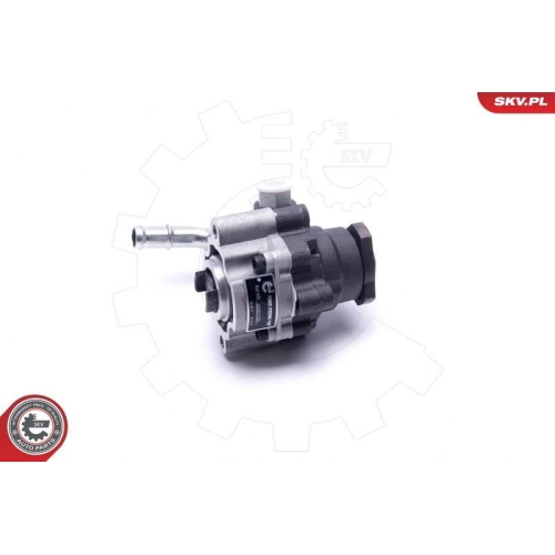 ESEN SKV Hydraulikpumpe, Lenkung 10SKV295