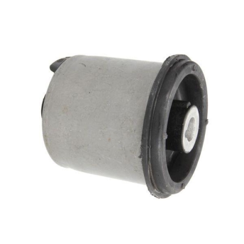 REINHOCH Lagerung, Achskörper RH20-0011