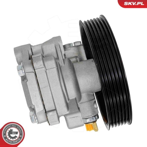 ESEN SKV Hydraulikpumpe, Lenkung 10SKV341