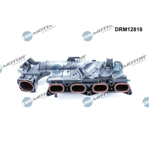 Dr.Motor Automotive Saugrohrmodul DRM12818