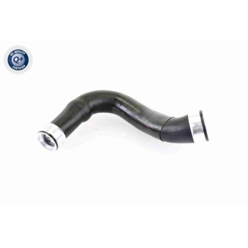 VAICO Ladeluftschlauch Q+, Erstausrüsterqualität