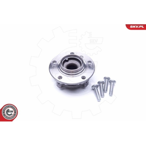 ESEN SKV Radlagersatz