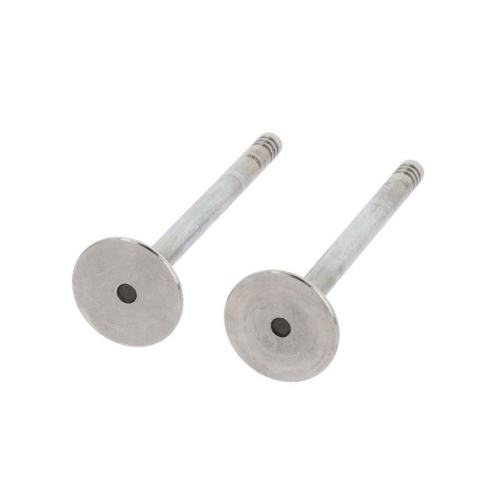 CORTECO Auslassventil 550768B