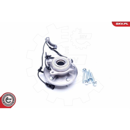 ESEN SKV Radlagersatz