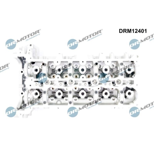 Dr.Motor Automotive Zylinderkopf DRM12401